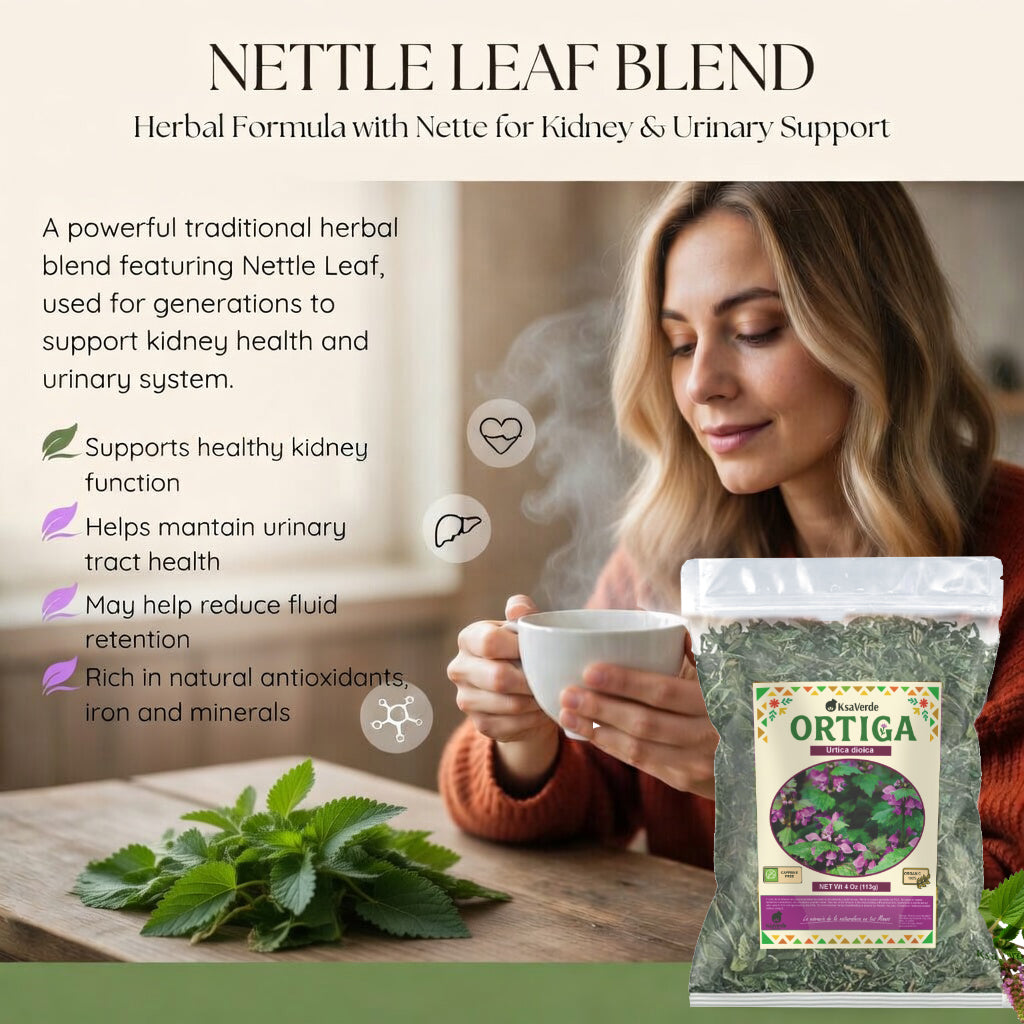 Nettle Leaf (Ortiga) Herbal Tea – 4 oz | Traditional Botanical Infusion | Caffeine-Free Loose Leaf Herb